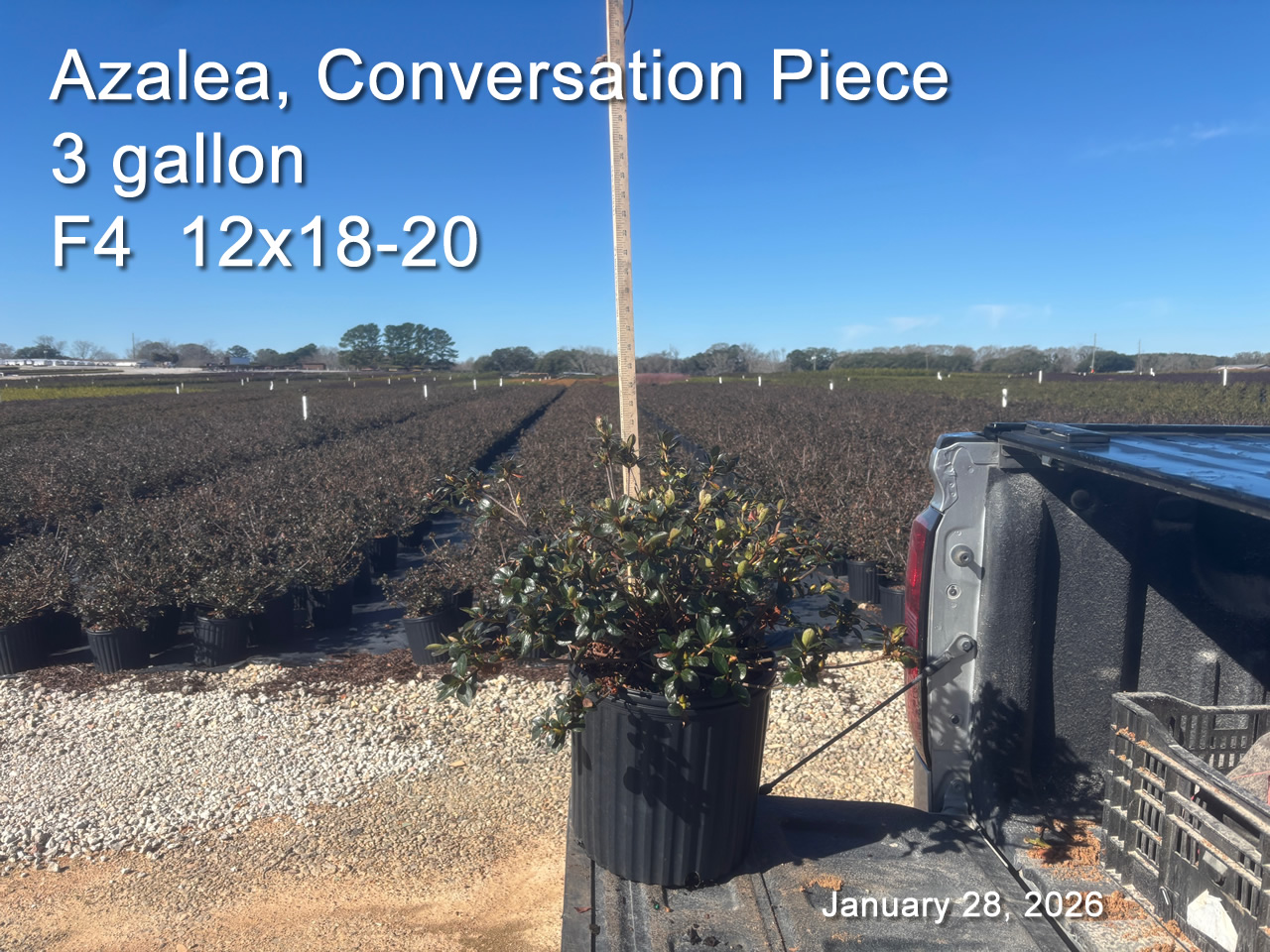 gallery/cp3 f4 jan28.jpg